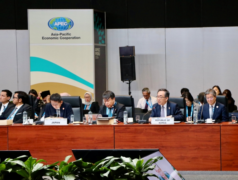 2024 APEC Ministerial Meeting (AMM) Outcomes